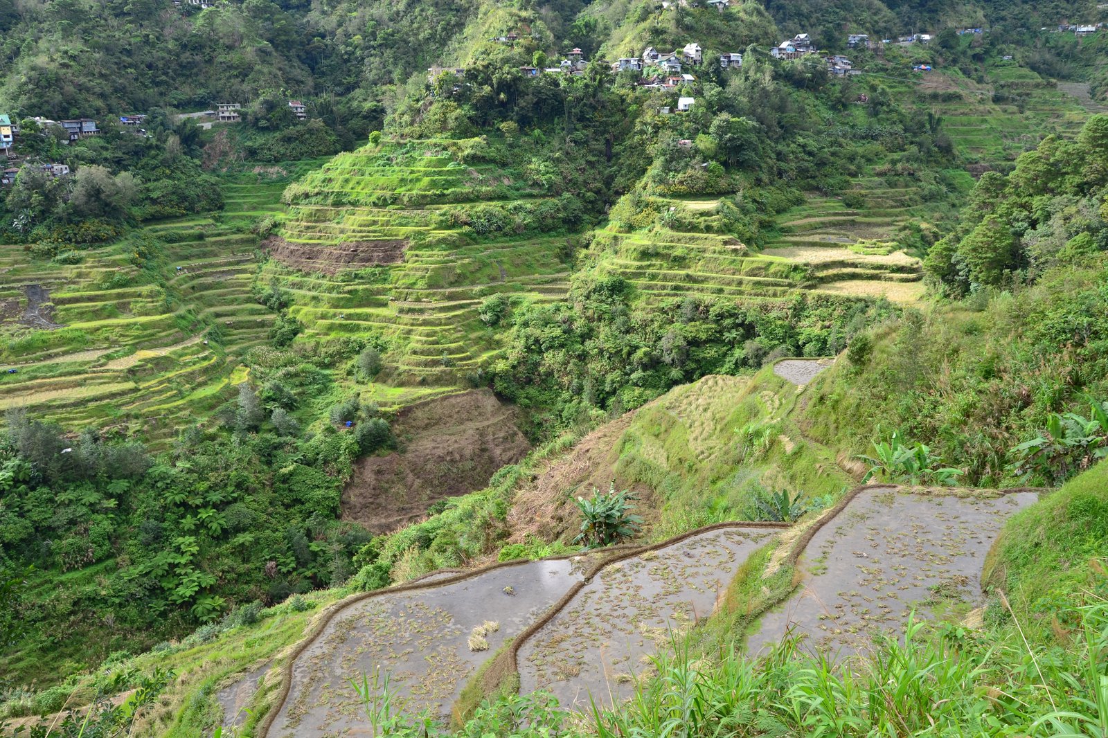 A Beautiful View Of Banaue Rice Terraces In Luzon, Philippines