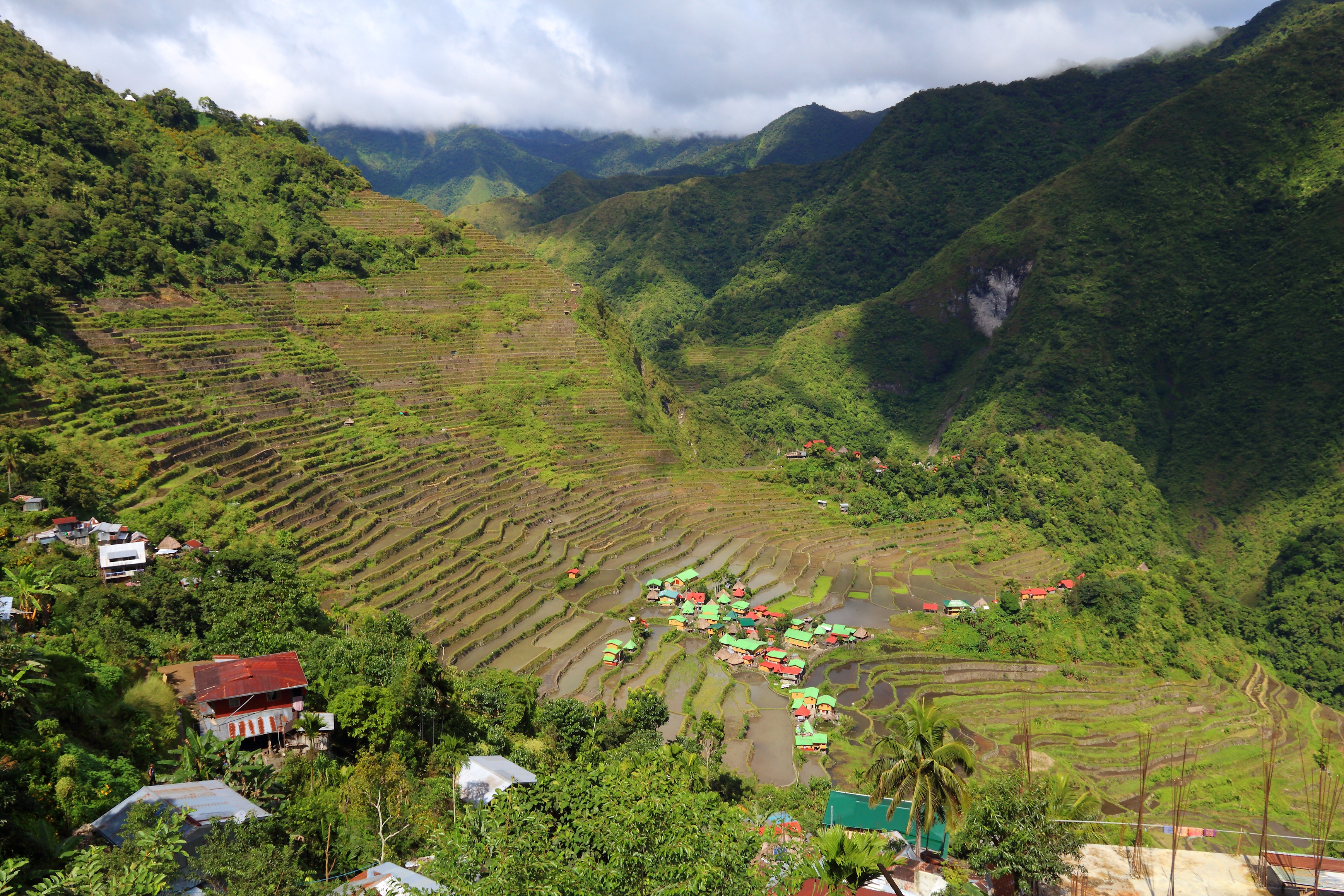 Philippines Rice Terraces - Rice Cultivation In Batad Village (Banaue Area).