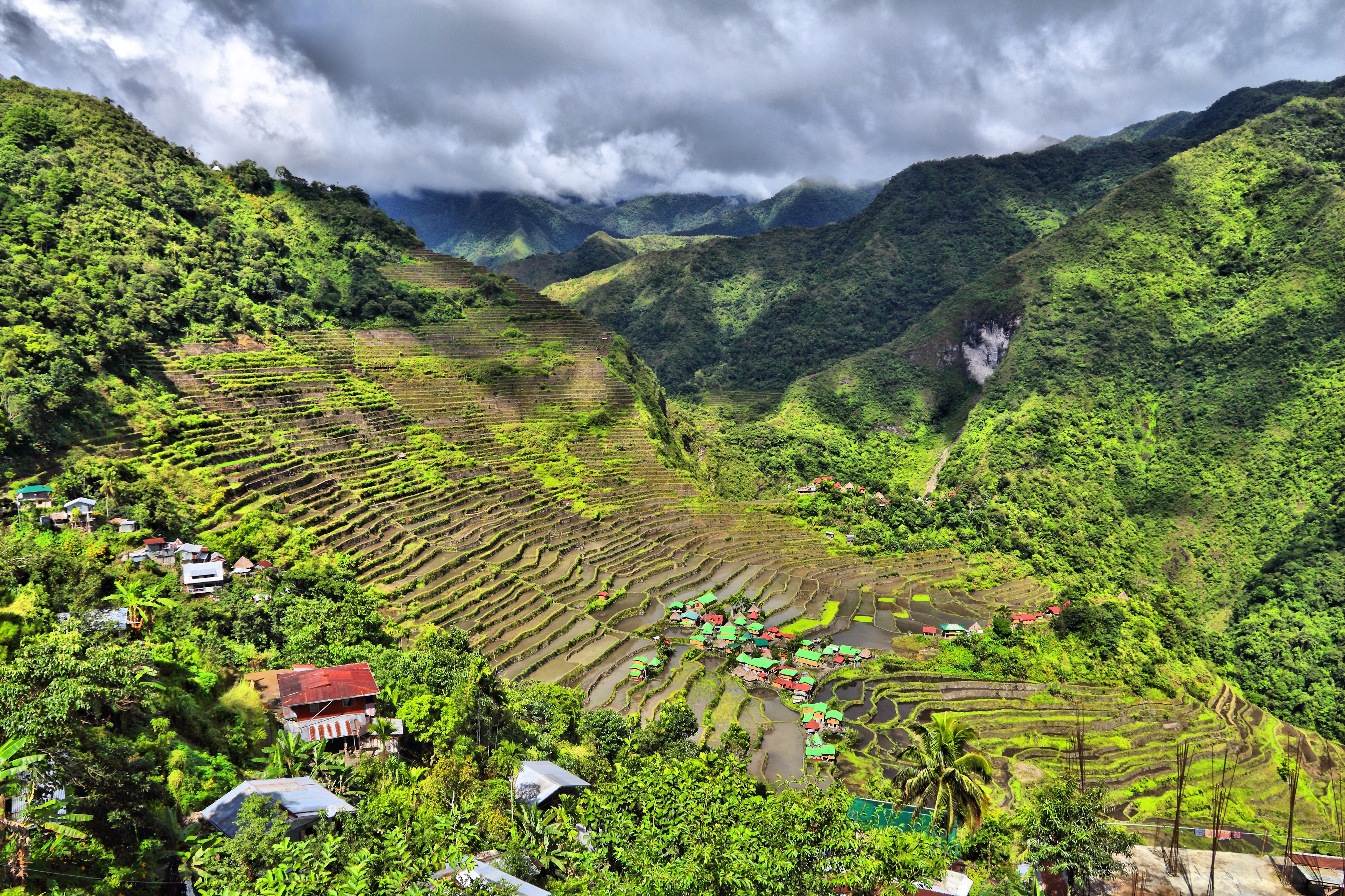 Rice Paddies Landscape In Philippines. Rice Terraces In Batad, Philippines.