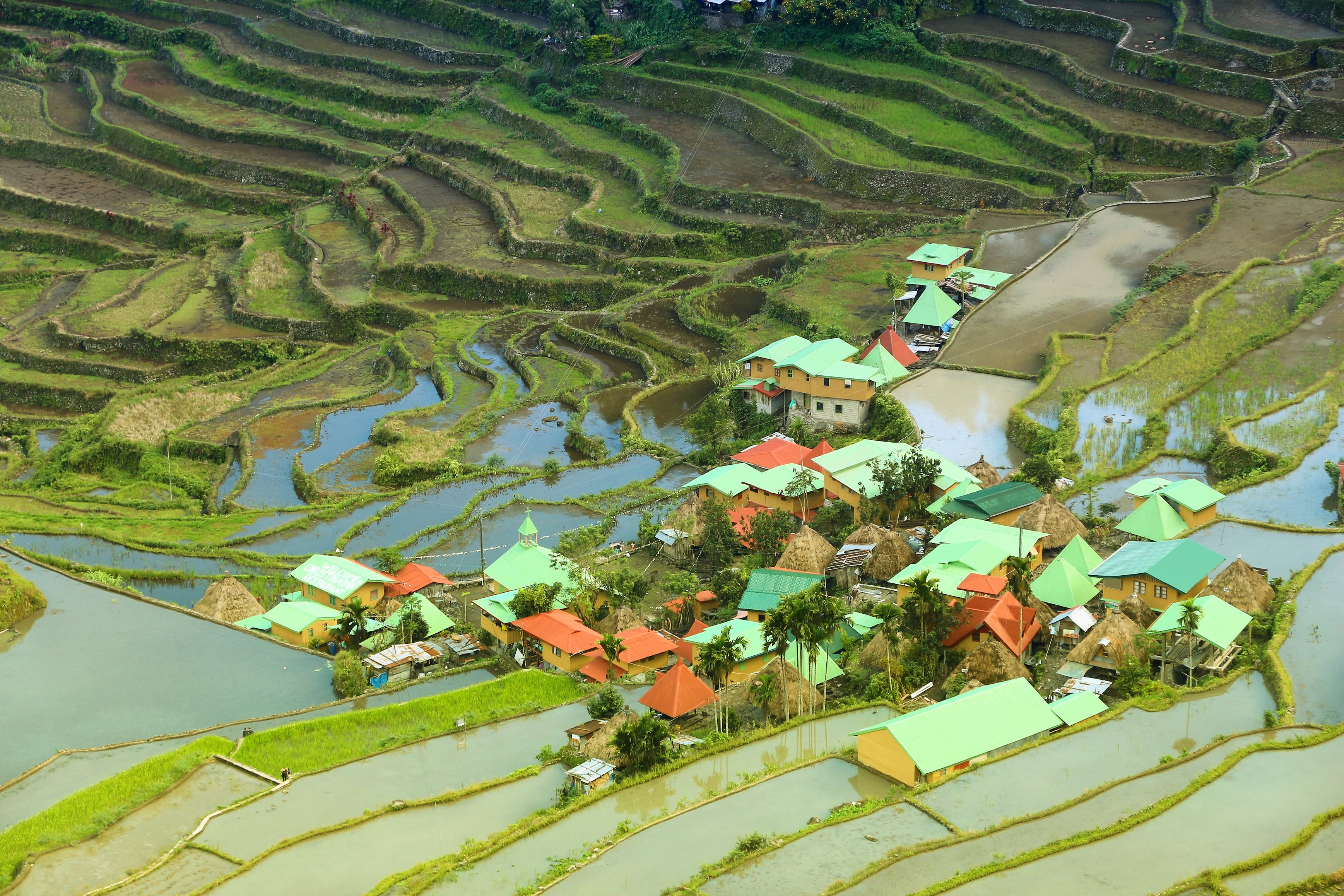 Philippines Rice Terraces - Rice Cultivation In Batad Village (Banaue Area).