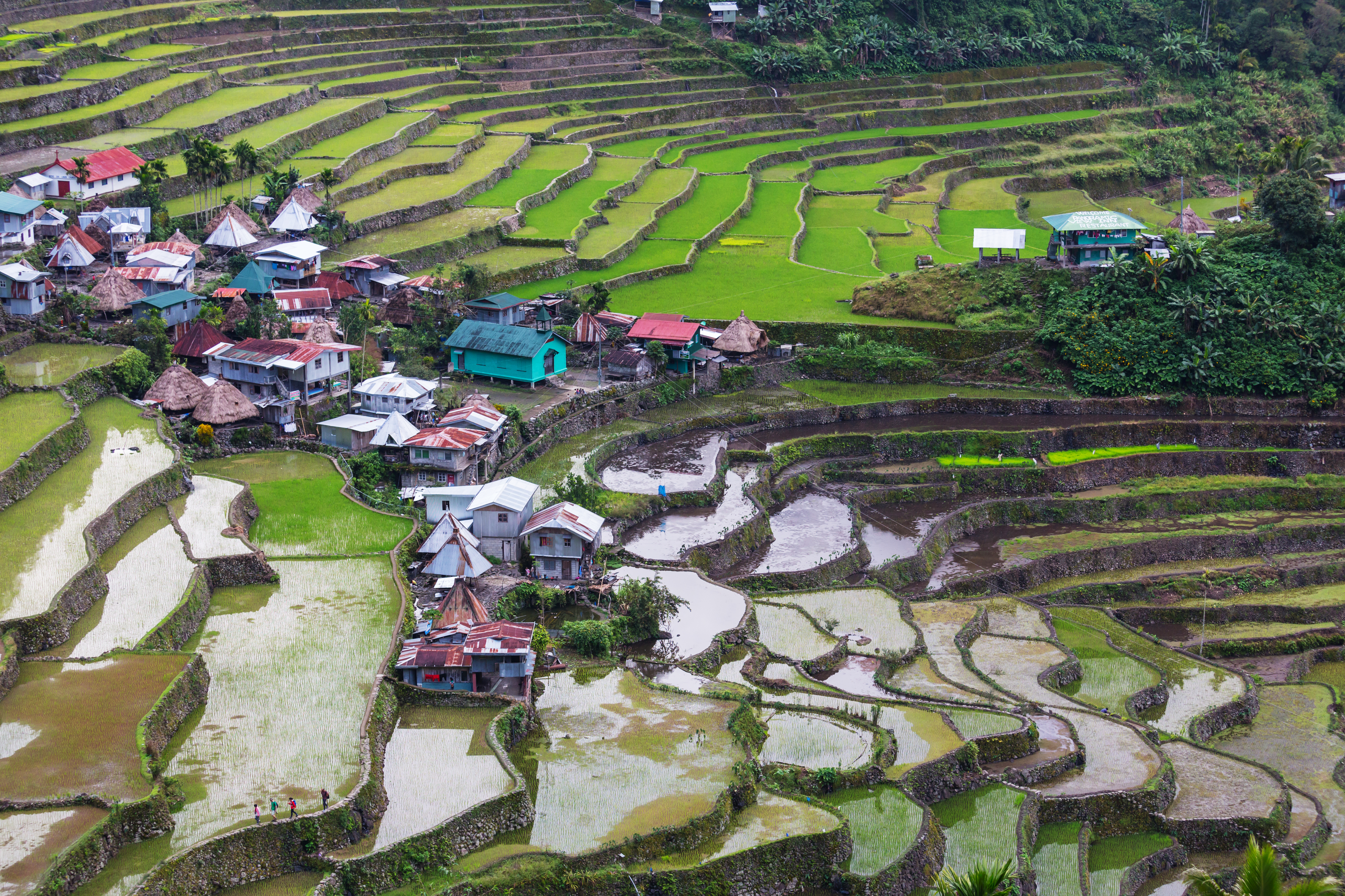 Rice Terraces and Village Houses in the Philippines