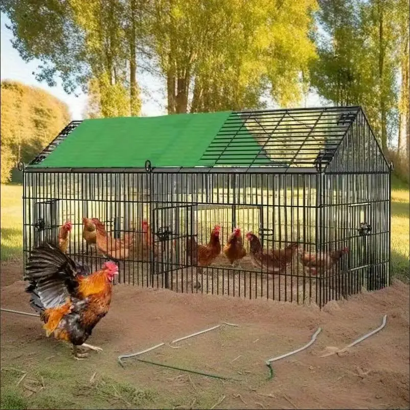 Käfig feie Hühnerhaltung
