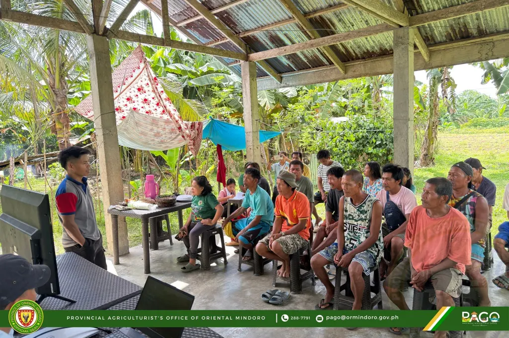 Banana, pineapple production training benefits IP community in Mindoro town