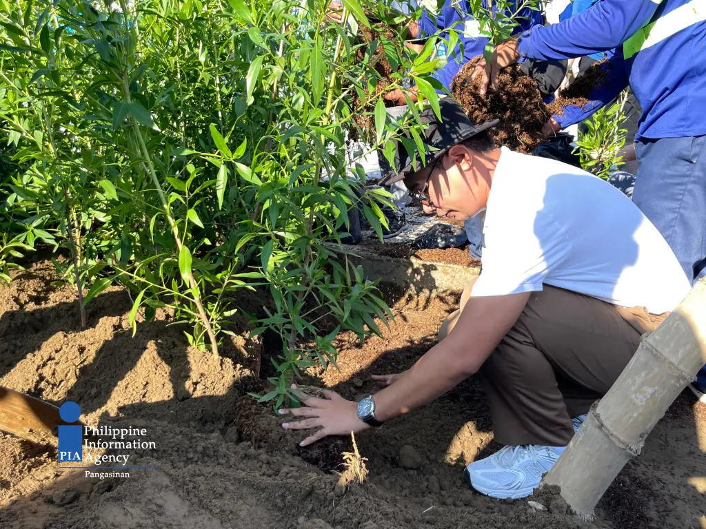 Pangasinan promotes native trees through science-based Capitol redevelopment