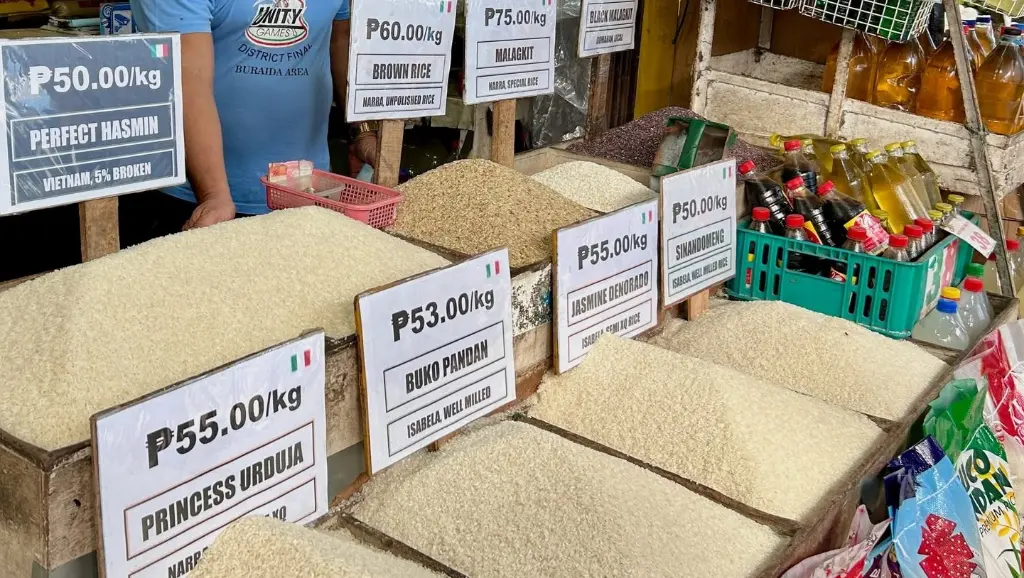 Palawan records slower inflation in June 2026