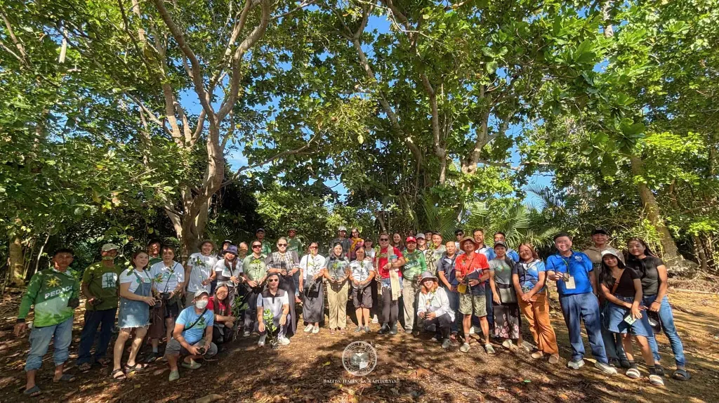 Mangrove planting_banner