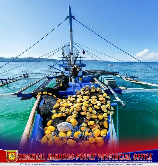 Police seizes P2.65-M unregistered fishing vessel, catch in Oriental Mindoro 1