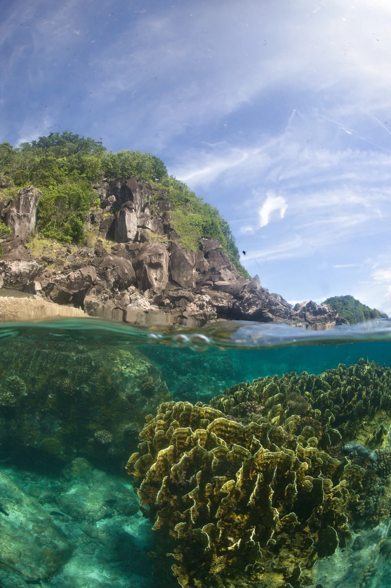 Apo Island mit felsiger Küste über Wasser und Korallen unter der Wasseroberfläche