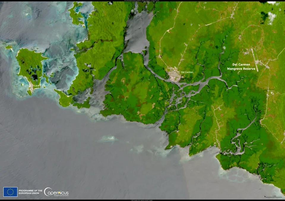 Satellitenbild der Mangroven und Wattflächen im Del Carmen Mangrove Reserve auf Siargao