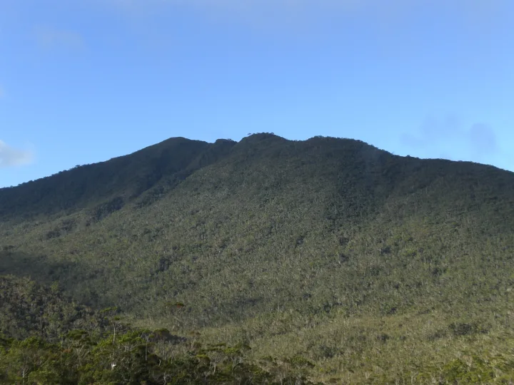 Bewaldeter Bergkamm des Mount Hamiguitan unter blauem Himmel