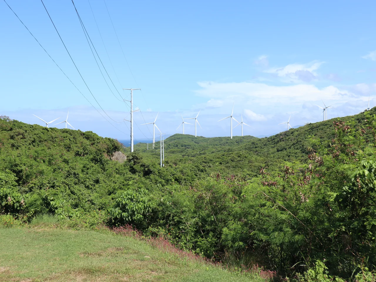 Windturbinen der Burgos Wind Farm über grünen Hügeln, daneben Strommasten und Leitungen