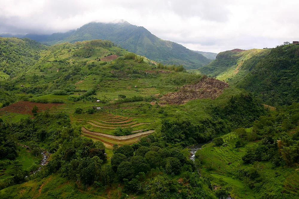 Grüne Berglandschaft mit Feldern und bewaldeten Hängen bei Don Salvador Benedicto auf Negros