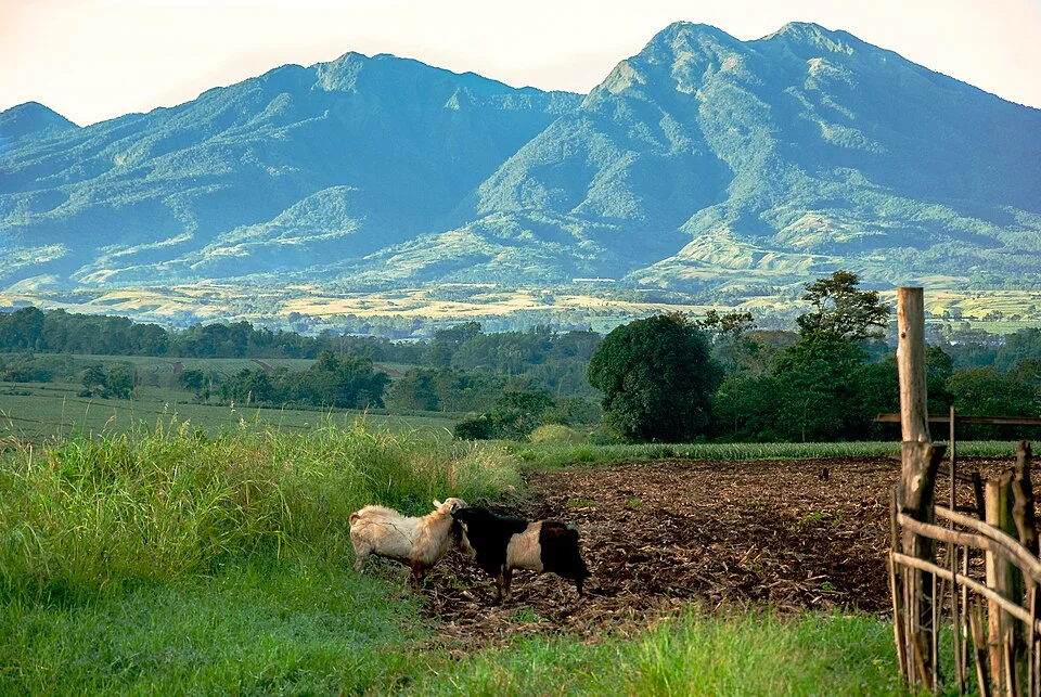 Die Kitanglad Mountain Range über landwirtschaftlich genutzten Hügelflächen