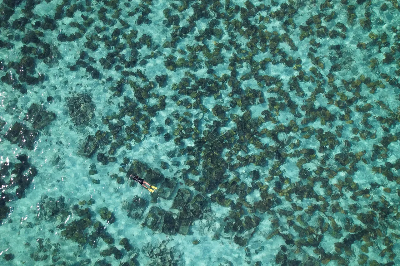 Blick von oben auf die Muschelaufzucht bei Silaki mit einer schnorchelnden Person