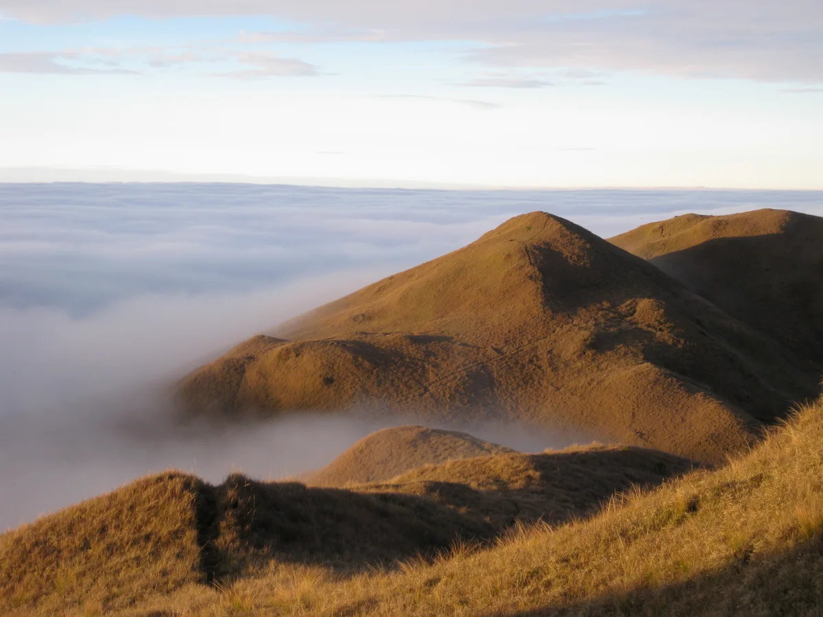 Grasbewachsene Bergrücken am Mount Pulag über einer Wolkendecke im Nachmittagslicht