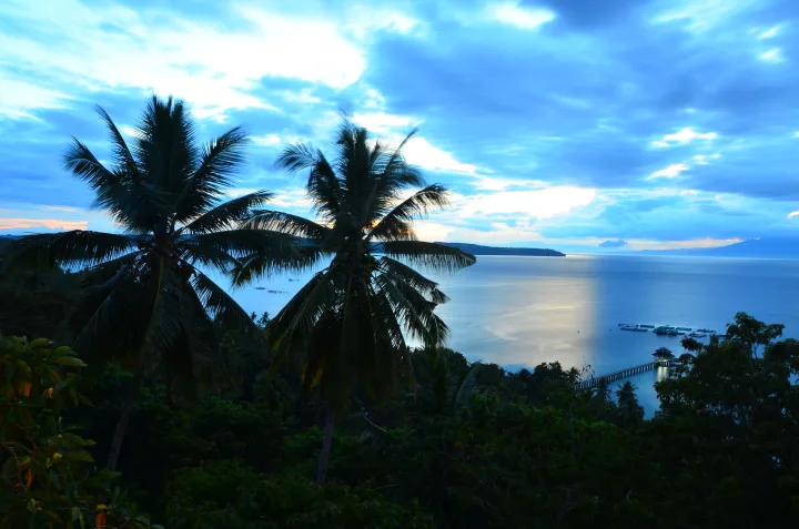 Palmen am Hang mit Blick von Samal auf das Meer und die gegenüberliegenden Inseln